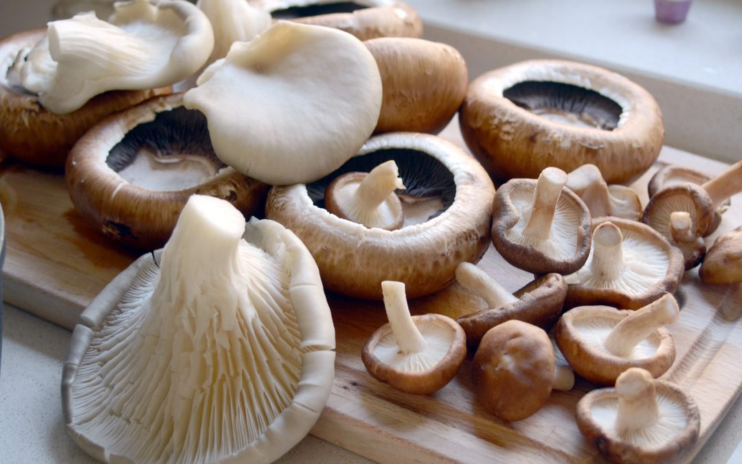 Global mushroom market overview