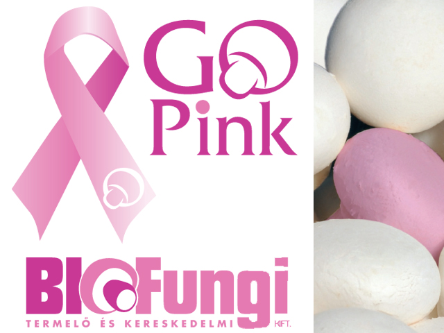 Fourth year against breast cancer