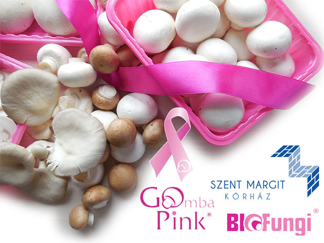 GoPink – hetedik éve rózsaszín tálcás gombatermékekkel a mellrák ellen