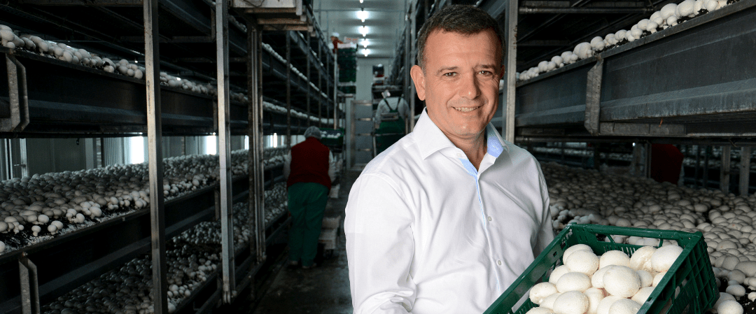 Forbes cikk a gombatermesztésről