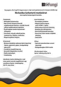 mechanikus karbantartó