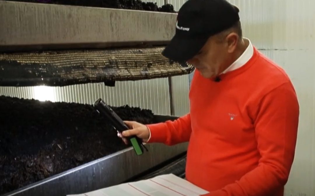 Bárki termeszthetné Magyarországon ezt a szuperélelmiszert: külföldön is imádják