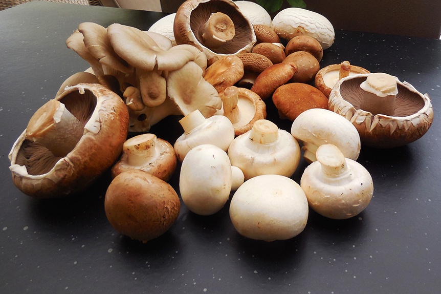 This Surprising Ingredient Will Be Everywhere In 2022