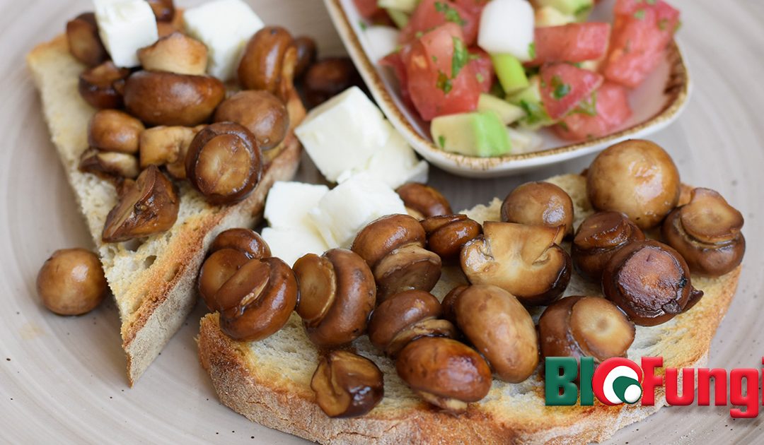 Want to save the planet? Eat protein from mushrooms and algae instead of red meat