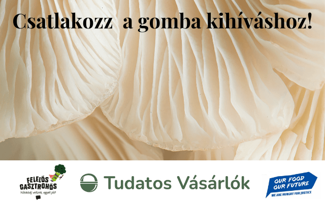 Eszel elég gombát? Csatlakozz a gomba kihíváshoz!